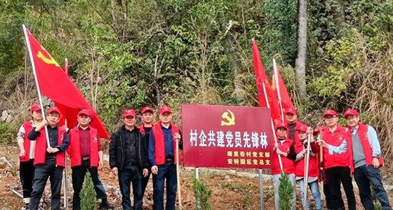 村企共建，共植先锋林