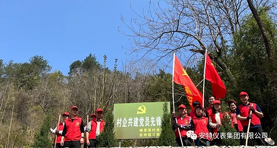 党建强引领，共植先锋林