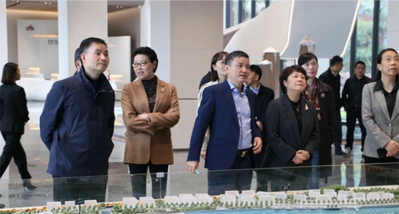 民革中央副主席吴晶调研南宫NG集团