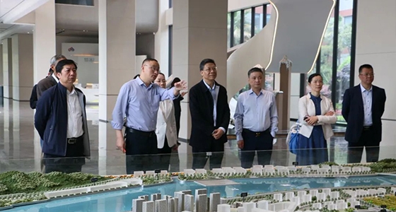 省人大常委会委员陈根芳调研南宫NG集团