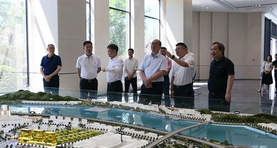 省委政研室童主任一行调研南宫NG集团